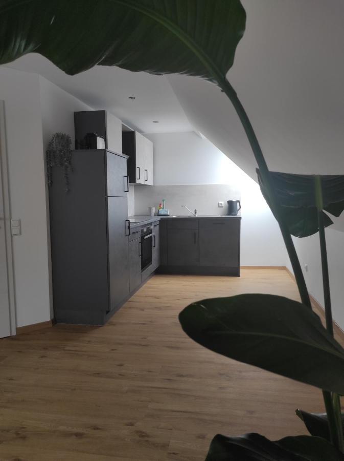 Ferienwohnung Im Distelweg Scheid  Buitenkant foto