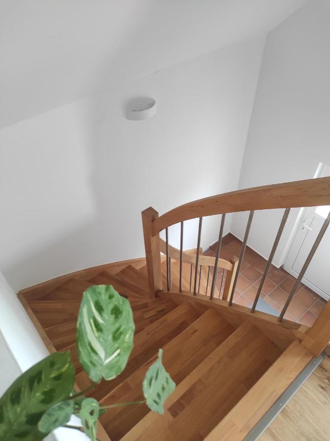 Ferienwohnung Im Distelweg Scheid  Buitenkant foto